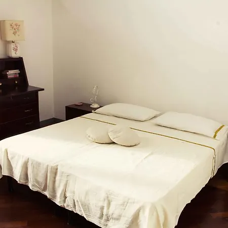 Casa Betulla Bed & Breakfast Pisa