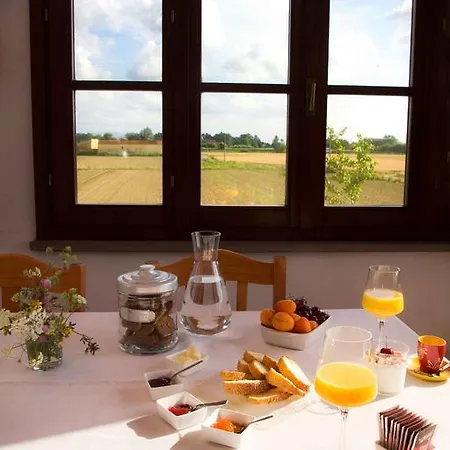 Casa Betulla Bed & Breakfast Pisa